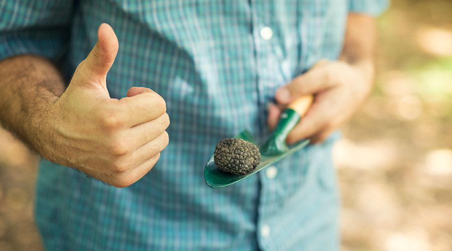 soiltest
